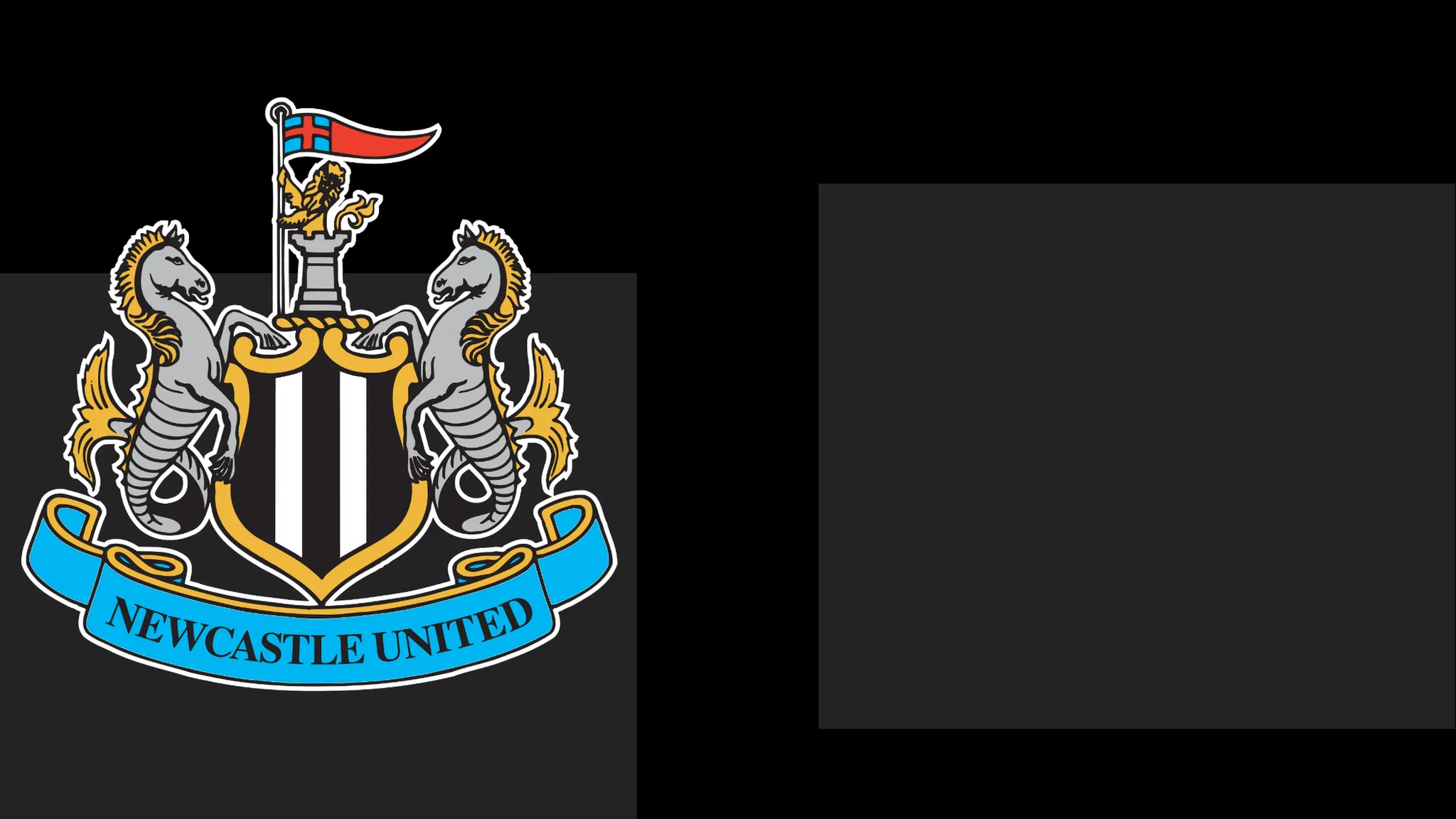 Newcastle's boss Commends Team's Determination – However It Only Takes Them This Far
